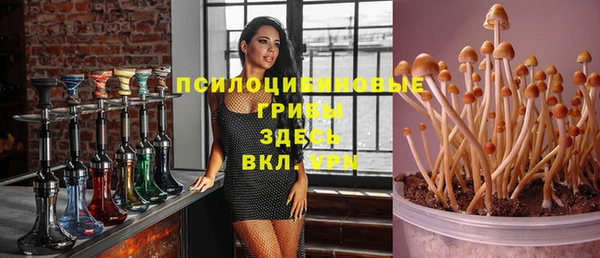 прущая мука Богданович