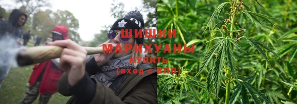прущая мука Богданович