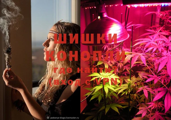 прущая мука Богданович
